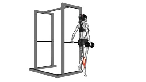Effective Single Leg Calf Raise For Women Video Guide And Tips