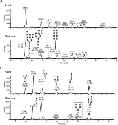 Extracted Ion Chromatography Eic Of N And O Linked Glycans Present In