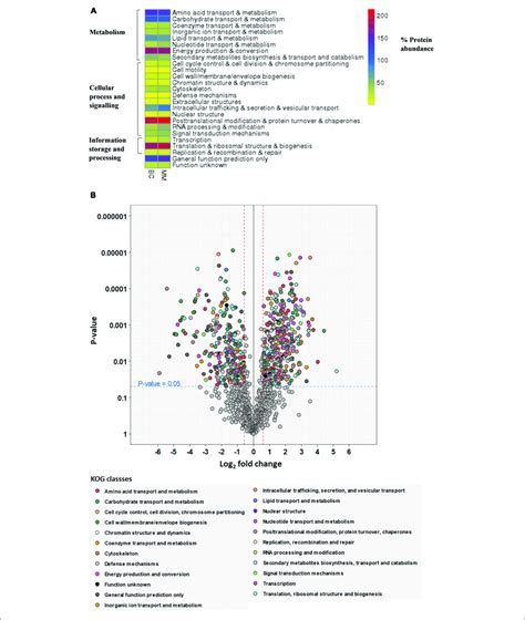 A Heatmap Visualization Of The Abundance Of The Proteins As Red Download Scientific