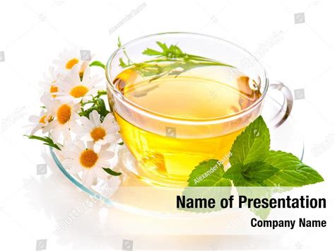 Relaxation Herbal Tea Powerpoint Template Relaxation Herbal Tea