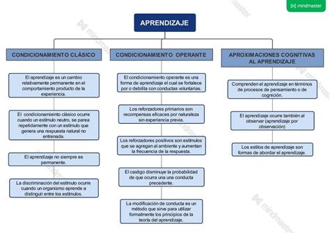 Tipos De Aprendizaje Mapa Conceptual Udocz Porn Sex Picture