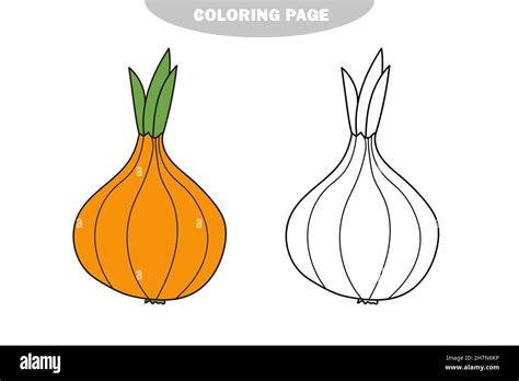 Coloring Pages Vegetables Preschoolers Books