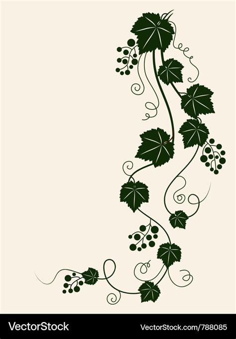 Grape vine silhouette Royalty Free Vector Image