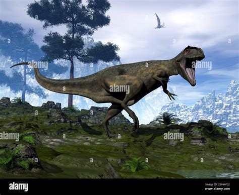 Giganotosaurus Fossil Hi Res Stock Photography And Images Alamy