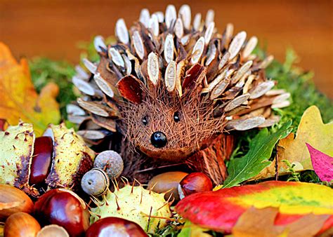 Autumn Hedgehog Jigsaw Puzzle