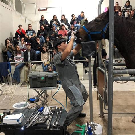 Jornada de producción equina en la Facultad de Veterinarias Esperanza