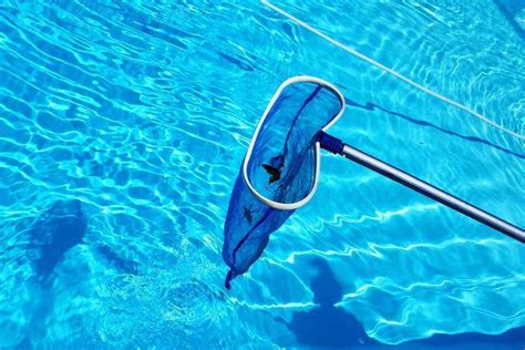 How To Maintain Your Pool With These 3 Easy Steps My Pool Guy