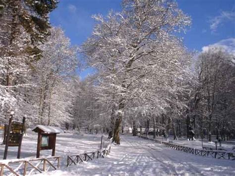 Arriva La Prima Neve Sul Gargano News San Nicandro Garganico