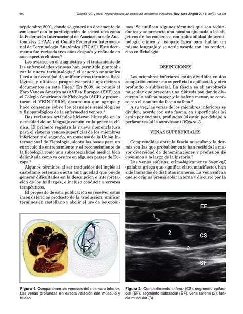 Nomenclatura De Las Venas De Los Miembros Inferiores Y T Rminos En