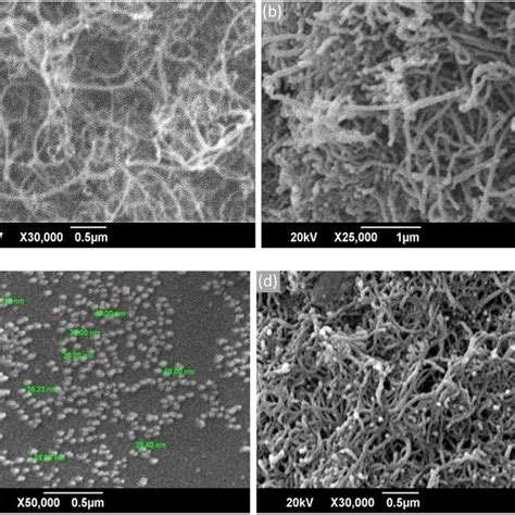 SEM Images Of A Pristine MWCNTs B Functionalized MWCNTs C CuS NPs And