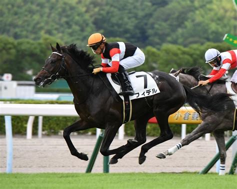 【pog】2歳戦独断評価 今後の成長が楽しみなフィデル競馬・レースデイリースポーツ Online