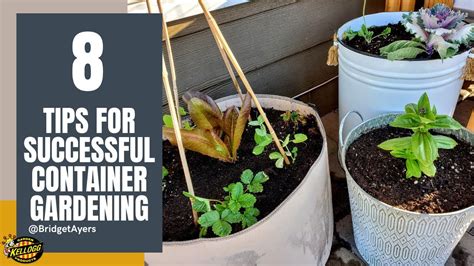 Container Gardening Tips For Beginners YouTube