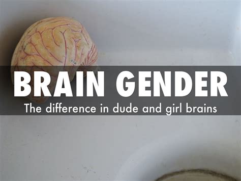 Brain Gender By Josieedrops07