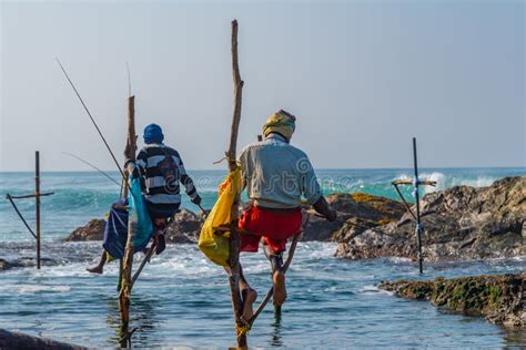 Koggala Sri Lanka January Traditional Stilt Fisherme