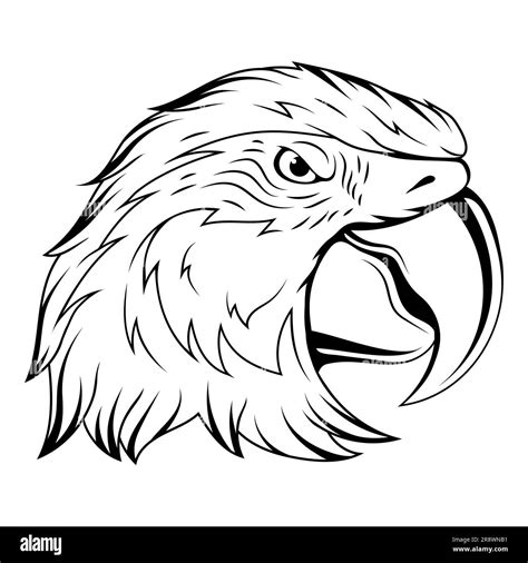 Parrot Vector Illustration Of A Sketch Angry Tropical Bird Ara Parrot