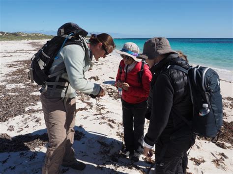 Beachcombing Guide – What am I looking at? - Inspiration Outdoors