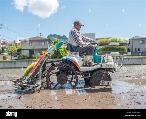 Farmer Operating Rice Planter Machine With Trays Of Rice Seedlings