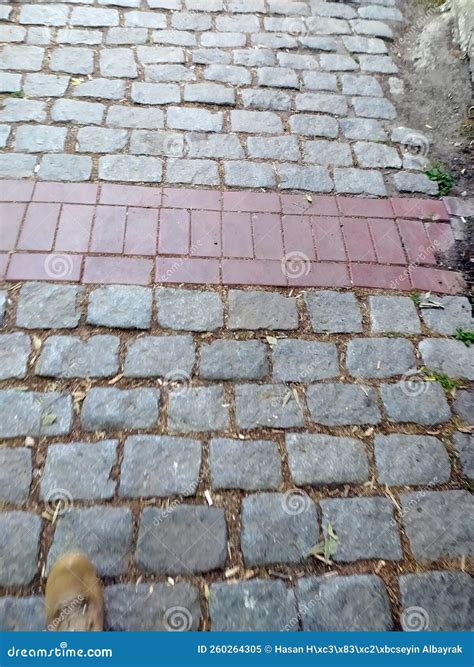 Natural Cobblestone Seamless Texture Royalty-Free Stock Photography ...