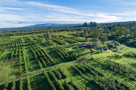 Autumn Wonders: Experiencing a Kona Coffee Farm