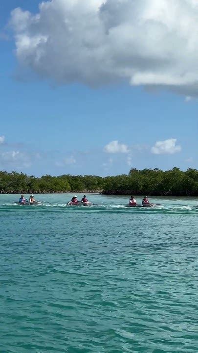 Clear Bottom Kayak Adventure Tour Near Providenciales Around The Turks