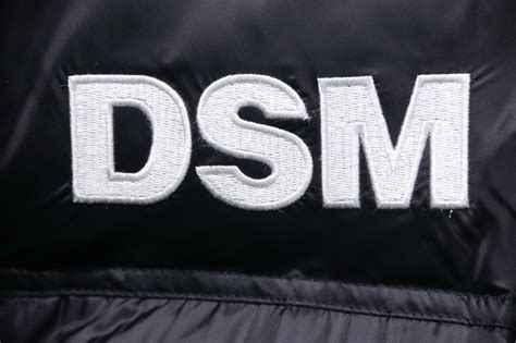 The North Face X Dsm Th Anniversary Down Jacket