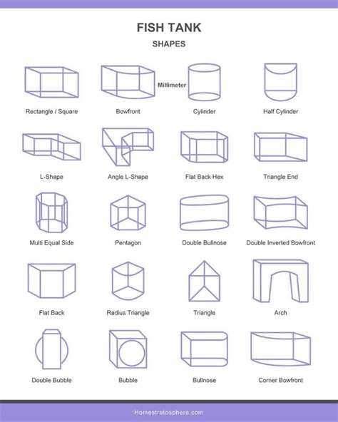 Fish Tank Sizes (Charts & Tables)