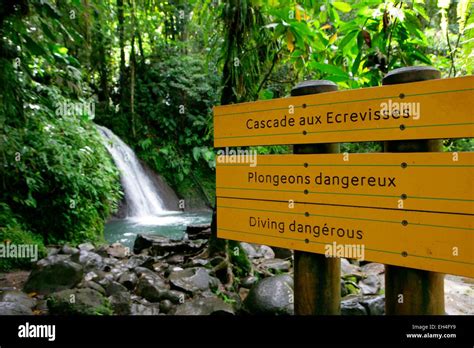 france guadeloupe basse terre guadeloupe national park  unesco