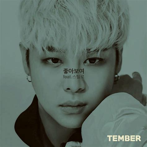 Tember 좋아보여 Digital Single 2017