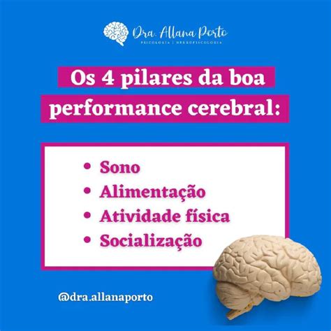 Veja Os Pilares De Uma Boa Performance Cerebral Qual