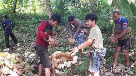 Musik Santai Survival Work Hasil Dari Hutan Petani Panen Kelapa