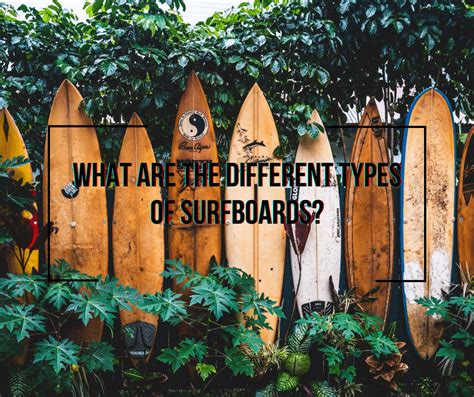 Different Types Of Surfboards Wetsuit Wearhouse Blog