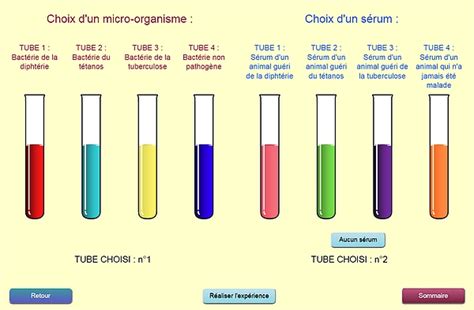 Logiciel D Fenses Immunitaires Me Svt Acad Mie De Besan On