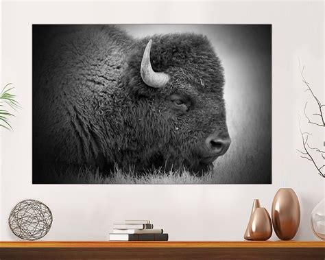 Buffalo Print Bison Photograph In Black And White Bison Canvas Print