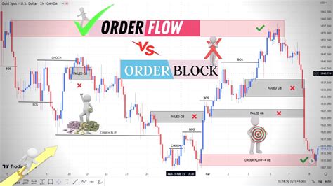 ORDER FLOW VS ORDER BLOCK Hidden Secret Explain In Hindi DR FX