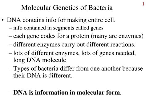 PPT - Molecular Genetics of Bacteria PowerPoint Presentation, free download - ID:6903878