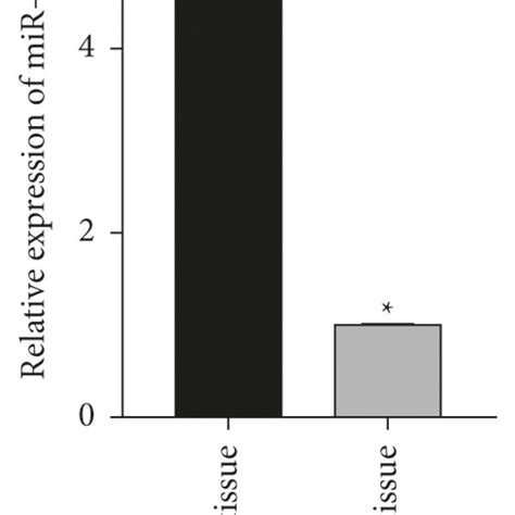 The Mir A P Expression In Degenerative Np Tissue And Cell A Low