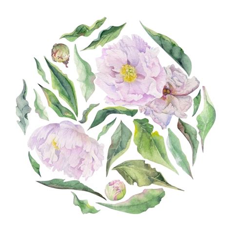 Arrangement De Cadre De Cercle Aquarelle Avec Bourgeons Et Feuilles De