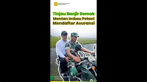 Tinjau Banjir Demak Mentan Imbau Petani Mendaftar Asuransi YouTube