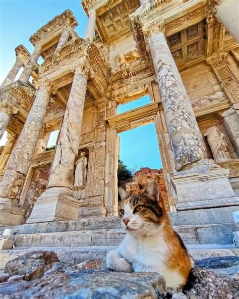 Wycieczki Fakultatywne Z Didim Przewodnik Po Atrakcjach Didim Tour