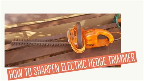 How to Sharpen Electric Hedge Trimmer - Simple Guide