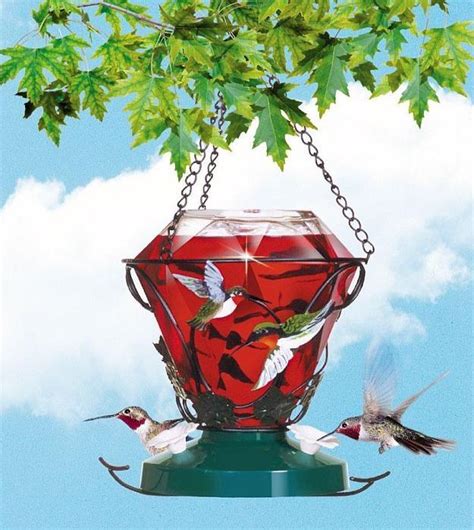 Hummingbird Feeder Recipe And More For The Outdorsy Homesteader