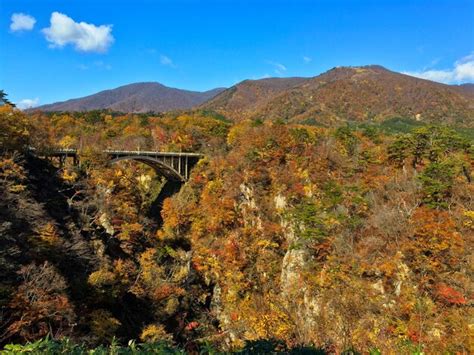 Premium Photo Bridge Amidst Tree Mountains Against Blue Sky