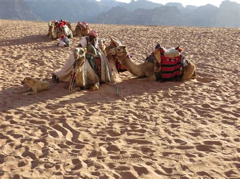 How To Tour Jordan Tips From A Local