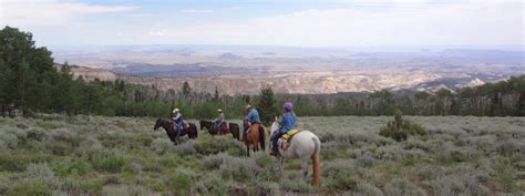 Horseback Trail Rides To Utahs High Plateaus Hondoo Rivers And Trails