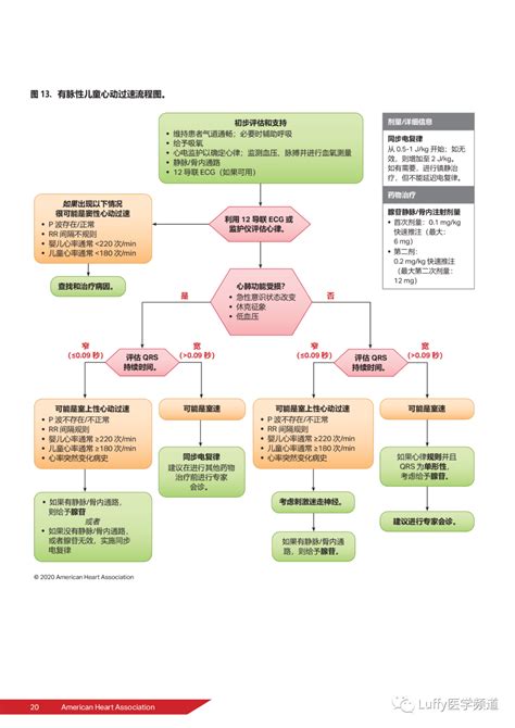 2020心肺复苏指南完整版心肺复苏心脏心血管急救 健康界