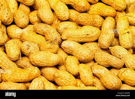 Natural Organic Raw Peanuts In Shell Texture Stock Photo Alamy