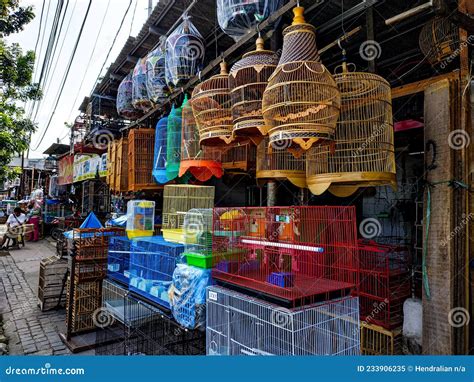 Vogelkooien Te Koop Op De Markt Voor Pramuka Vogel Jakarta