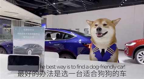 Tesla China Model 3 Doge Meme Teslarati