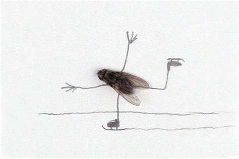 Magnus Muhr’s dead flies art | Inhabitat - Green Design, Innovation, Architecture, Green Building