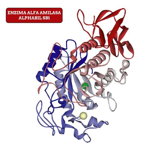 Enzima Alfa Amilasa X 15 Ml Alphamil Sb1 Cibart